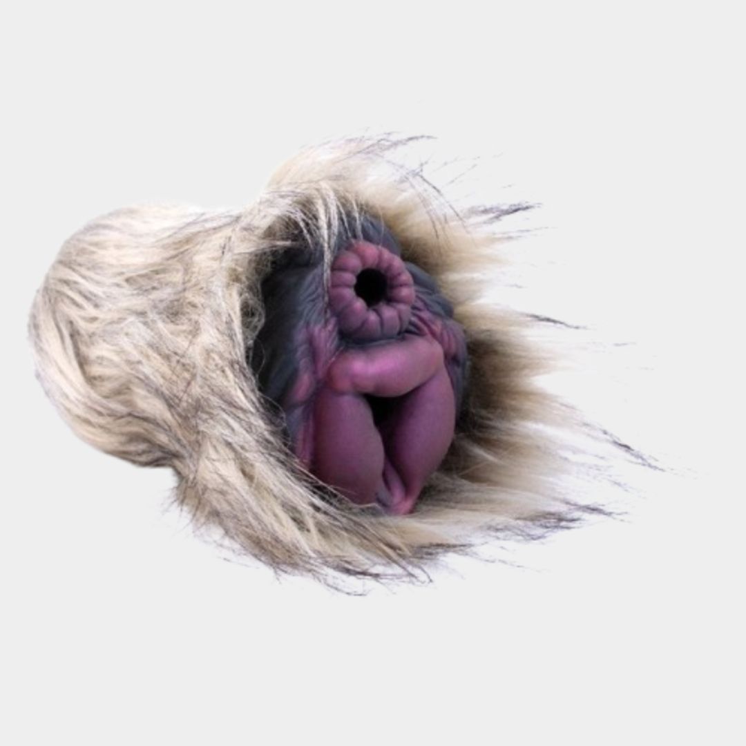Lion Realistic Pussy Plush Fantasy Stroker