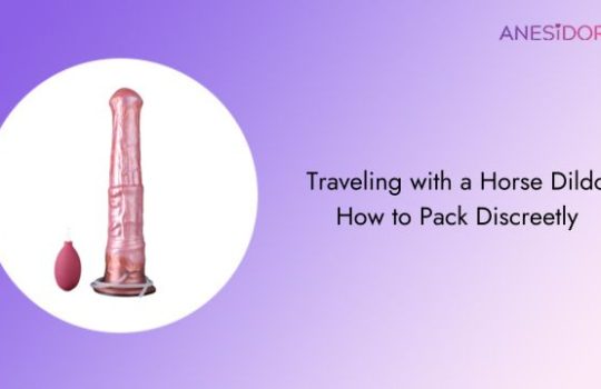 Traveling with a Horse Dildo How to Pack Discreetly