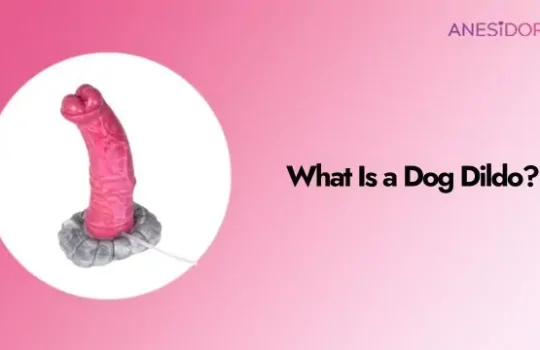 What Is a Dog Dildo