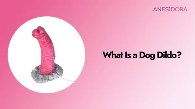 What Is a Dog Dildo