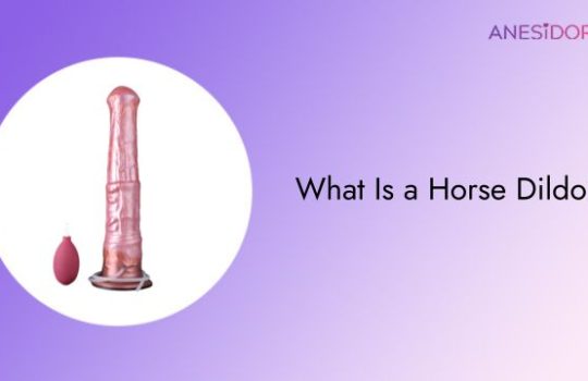 What-Is-a-Horse-Dildo