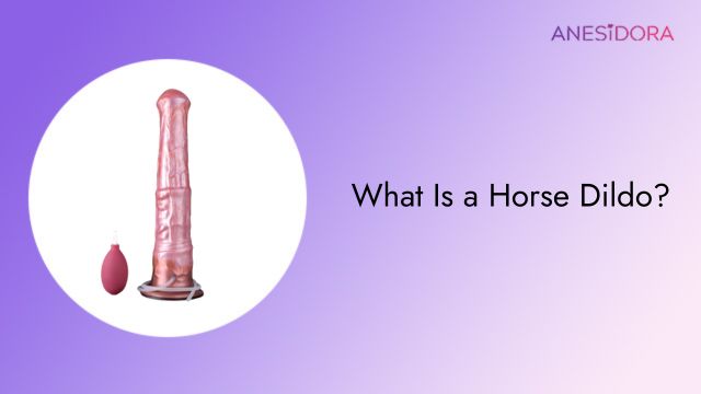 What-Is-a-Horse-Dildo