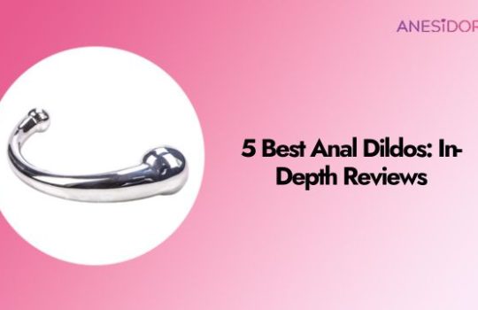 5 Best Anal Dildos In-Depth Reviews