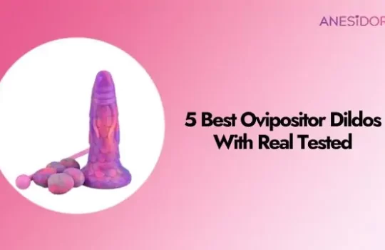 4 Best Ovipositor Dildos With Real Tested