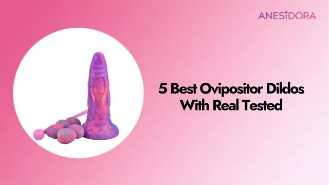 4 Best Ovipositor Dildos With Real Tested