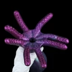 Fantasy Tentacle Air Tight Stroker