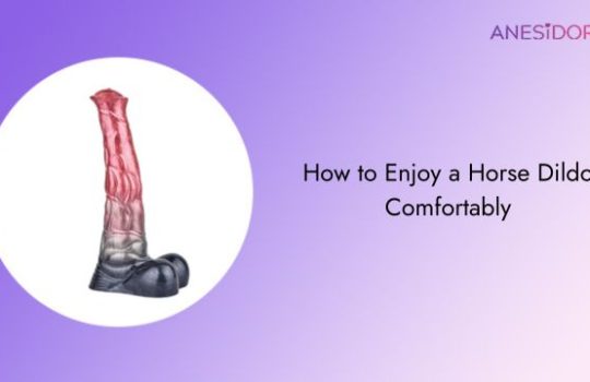 How to Enjoy a Horse Dildo Comfortably