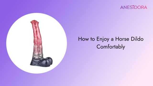 How to Enjoy a Horse Dildo Comfortably