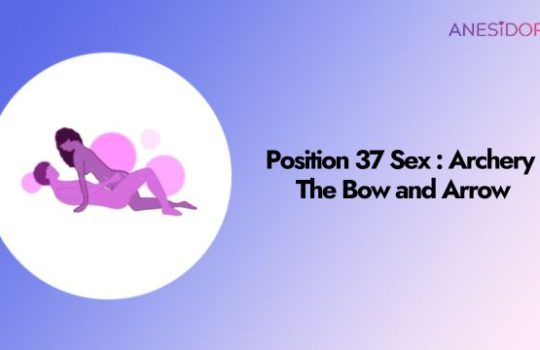 Position 37 Sex : Archery – The Bow and Arrow