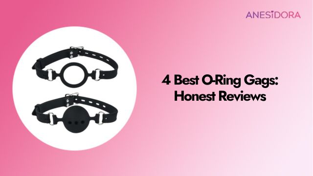 4 Best O-Ring Gags Honest Reviews