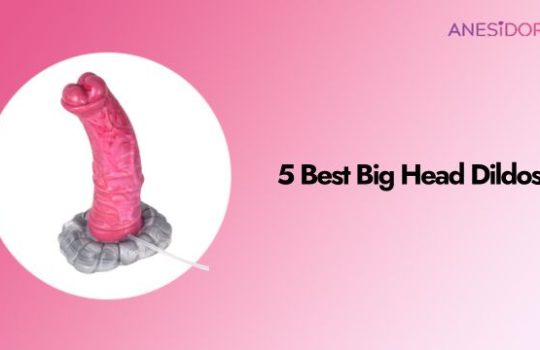 5 Best Big Head Dildos A Detailed Test Review