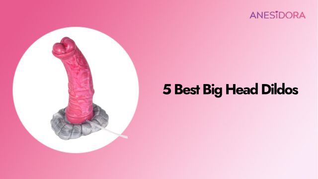 5 Best Big Head Dildos A Detailed Test Review