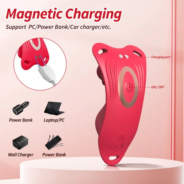 Anesidora Public Vibrator Rose Design with Remote