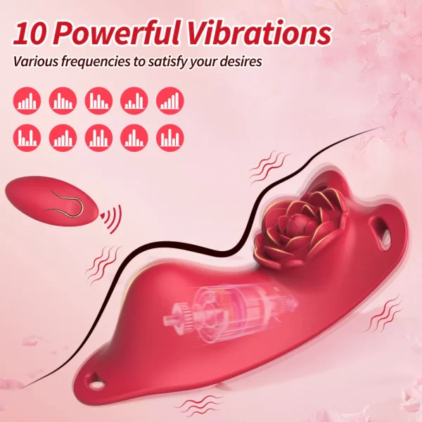 Anesidora Public Vibrator Rose Design with Remote