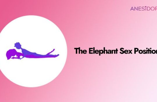 The-Elephant-Sex-Position-A-Wild-Ride
