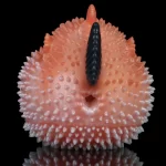 Toxic Pufferfish Silicone Animal Pocket Pussy