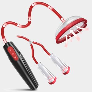 Anesidora Rose Electric Pussy & Nipple Pump