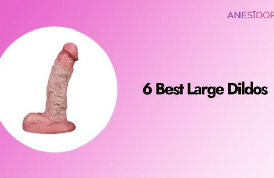 6 Best Large Dildos – From Someone Who Loves a Challenge