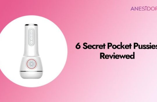 6-Secret-Pocket-Pussies