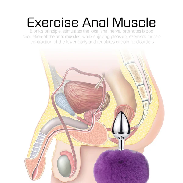Anal Plug Rabbit Tail Stainless Steel