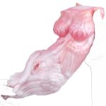 Bird Women Pocket Pussy Premium Silicone