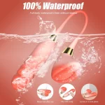 Dual G-Spot Clitoris Stimulating Vibrator