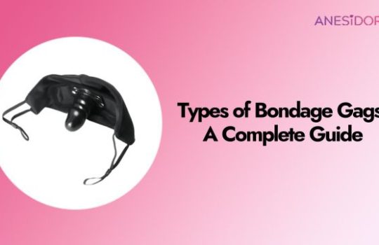 Types of Bondage Gags A Complete Guide