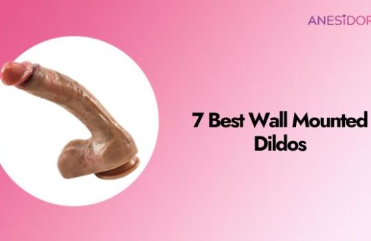 7 Best Wall Mounted Dildos