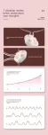 Cat Paw Vibrator Cute Design