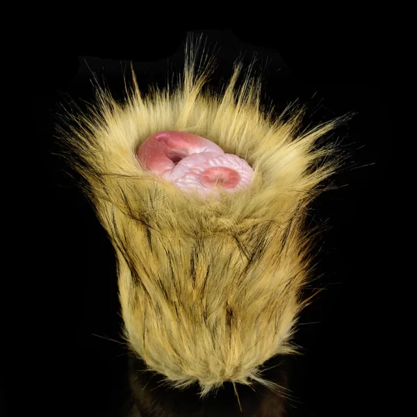 Coyote Animal Pussy Male Stroker