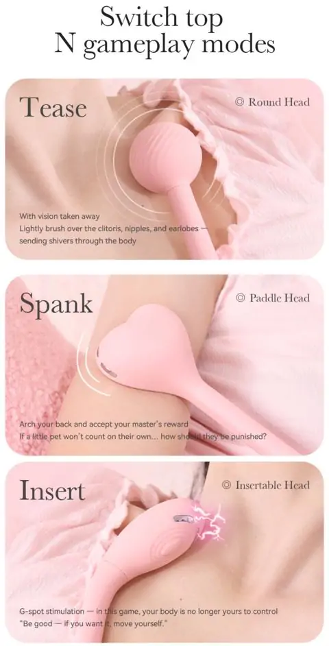 Teasing Sex Toy Long Handle Replaceable Vibrator