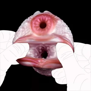 Syrax - Dragon Pussy Real Texture