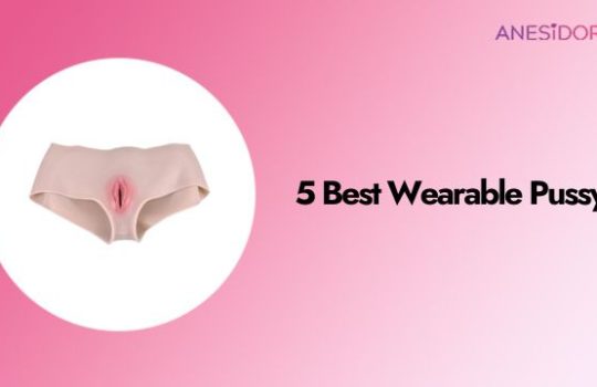 5 Best Wearable Pussy