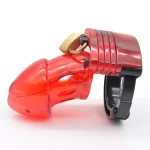 Cb-6000s Male Chastity Device