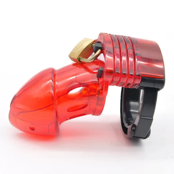 Cb-6000s Male Chastity Device
