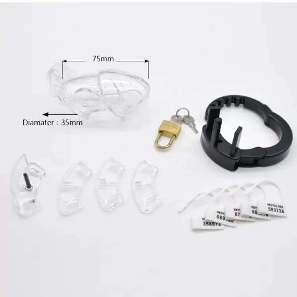 Cb-6000s Male Chastity Device