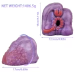 Spyro - Doggy Style Dragon Stroker