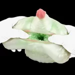 Tyranitar - Dinosaur Fantasy Male Pocket Pussy