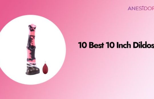 10 Best 10 Inch Dildos