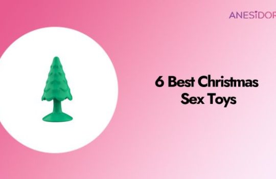 6 Best Christmas Sex Toys (Real Tested Review)