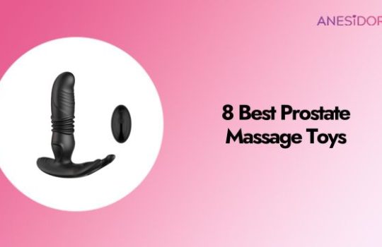 8 Best Prostate Massage Toys