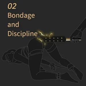 Anesidora Luxury E-Stim Paddle for Bdsm