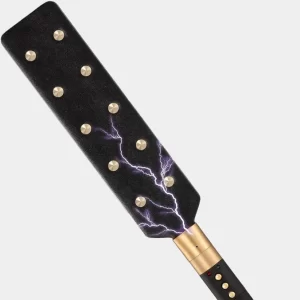 Anesidora Luxury E-Stim Paddle for Bdsm
