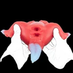 Dino Core – Red Fantasy Masturbator