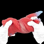 Dino Core – Red Fantasy Masturbator