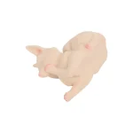 Foxy - Animal Sex Doll 6.6lbs