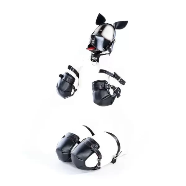 Huck - Bdsm Puppy Play Gear
