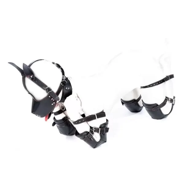 Huck - Bdsm Puppy Play Gear