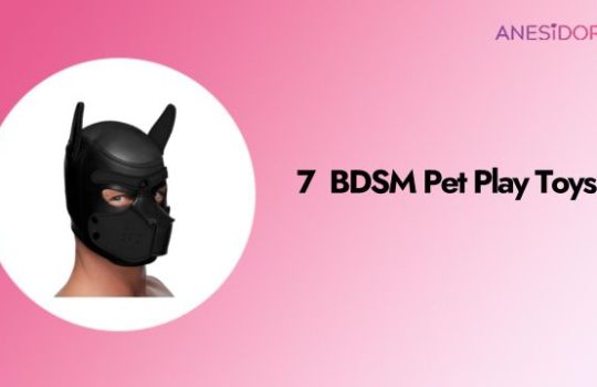 7 Best BDSM Pet Play Toys