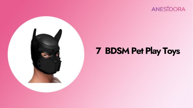 7 Best BDSM Pet Play Toys